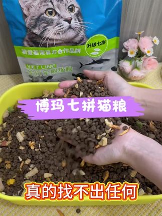 #养猫的尽头是宠物推车 #养猫新手 #博玛七拼冻干猫粮#增肥发腮猫粮 #科学养宠攻略 #养猫人