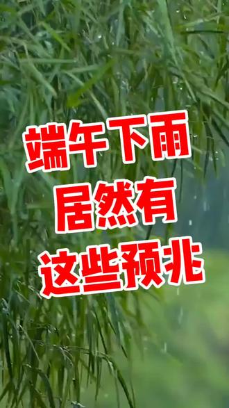 注意了,端午下雨,农谚说透旱涝预兆#山药世家张宝山#张宝山有机铁棍山药#让中国山药健康世界