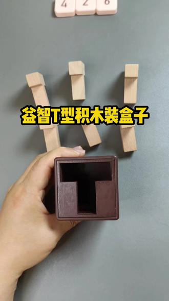 你会如何把这6根T型积木装进去呢?锻炼耐心和思维#思维训练 #积木拼装 #桌面游戏 #益智玩具