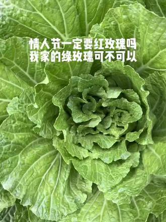 要绿玫瑰吗?我摘给你#vlog日常 #vlog #农村生活