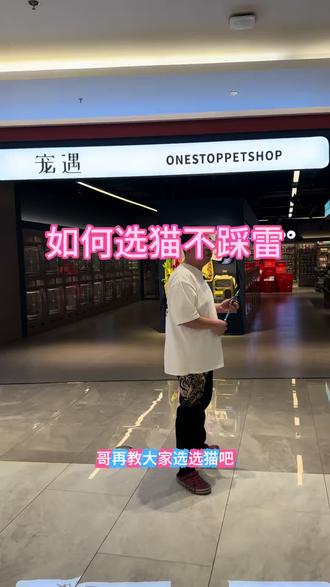 如何选猫,听我说完不踩雷 小奶猫最可爱,可是新手不好分辨品相,尴尬期的小猫最丑,有眼缘就闭眼入,长大一定有惊喜,4个月以上小猫最省心#长春宠物店#长春买猫#宠遇宠物