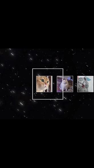 挑战用拼豆还原100只猫咪表情包8#我染上了拼豆 #猫meme #委屈猫 #拼豆 #手工diy