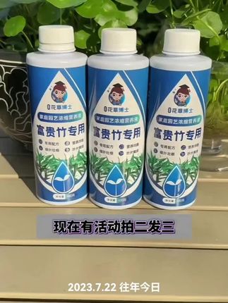 #富贵竹专用营养液 #富贵竹养护神器