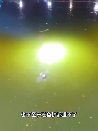 鹰梦狼牙无结子线双钩成品鱼钩绑好防缠绕竞技黑坑野钓鲫鱼鲤鱼#鹰梦狼牙无结子线#双钩成品鱼钩#绑好防缠绕#竞技黑坑野钓鲫鱼鲤鱼
