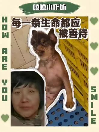 创造生命的前提是尊重生命 #博美包包 #徐州锁链女#创造生命的前提是尊重生命 #生育