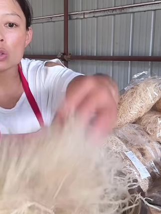 【不干包退】纯干龙须菜爽脆海石花菜鹿角菜干货批发凉拌菜一斤五斤#龙须菜 #海石花 #凉拌菜 #海味干货 #源头好货