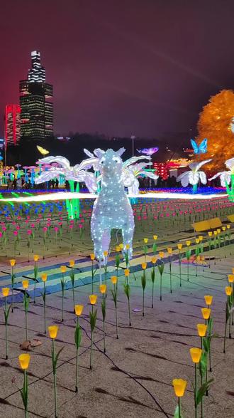 观山湖公园灯会庙会真是视觉盛宴#灯会 #灯会打卡地 #观山湖灯会庙市 #视觉盛宴 #夜晚氛围感 @抖音创作小助手