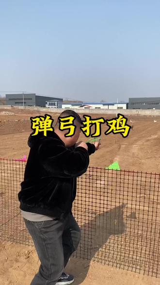 弹弓打鸡,大鸡大利,今晚一起吃鸡吧#弹弓打鸡 #弹弓爱好者