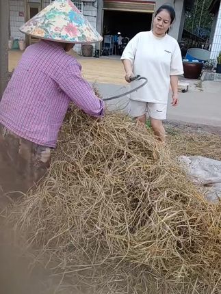 #真实农村 生活,重温儿时的记忆,就把子