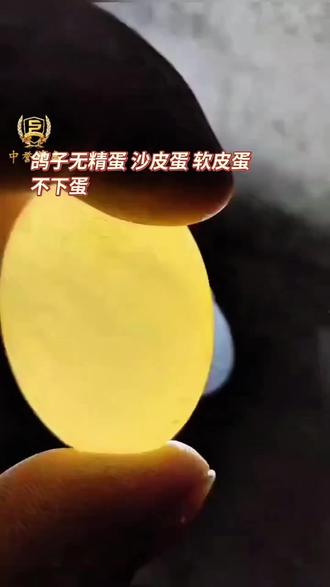 鹦鹉无精活力差,雌鸟不下蛋,无精蛋麻壳蛋就用加硒生育酚,雌鸟排队下蛋,幼鸟壮#鹦鹉不下蛋 #鹦鹉卡蛋 #鹦鹉无精蛋 #鹦鹉卡蛋怎么办