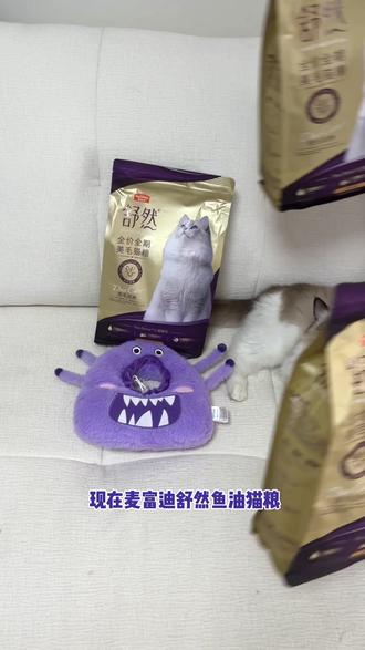 猫咪掉毛像下雪?麦富迪舒然鱼油粮救大命 #反骨猫 #萌宠出道计划 #掉毛季 #新手养猫