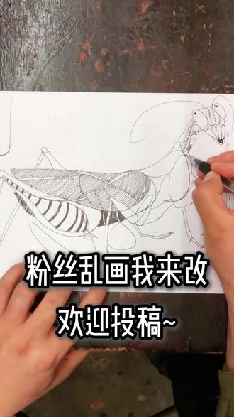 粉丝乱画我来改3|挑战随手画!! 上期的粉丝乱画我来改中,一位粉丝留下了“乱涂乱画”,今天我们就来改这幅画吧!
猜猜看我能画成什么样?
#张少博画山海经 #粉丝乱画我来改
#创作者中心 #创作灵感