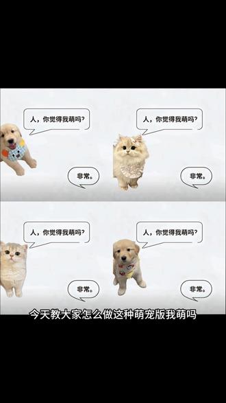 人 你觉得我萌吗微信背景图p图教程来啦#萌宠 #人你觉得我萌吗 #微信背景图 #醒图 #醒图创作者 萌宠背景图高清 小猫朋友圈背景图自制 宝宝你觉得我萌么背景图怎么p老公你觉得我萌么背景图怎么p你觉得我可爱么背景图 你觉得我萌吗素材图 你觉得我萌吗微信背景图怎么p人你觉得我萌吗背景图 萌宠背景图素材底图