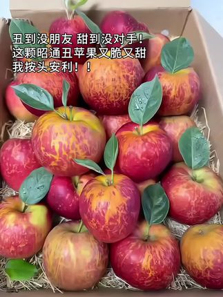 昭通丑苹果,别看皮上有点“小雀斑”,咬一口全是糖心甜!日照足,温差大,自然长熟不催熟。丑是丑了点,但果肉脆嫩,汁水多到飙,甜得实实在在。咱吃的是味道,不是颜值。昭通丑苹果,丑得有道理,甜得够地道!#丑苹果 #又脆又甜 #新鲜应季水果 #口感特别好#现摘现发新鲜到家