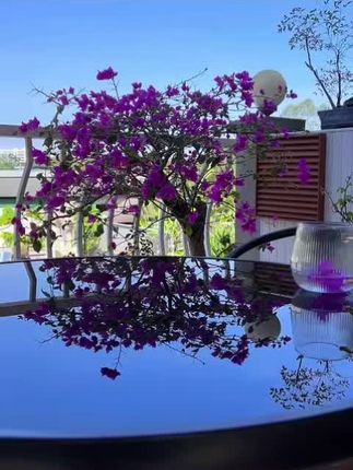 户外桌椅庭院室外休闲露天阳台商用外摆餐桌椅茶几圆桌#院子的梦想
