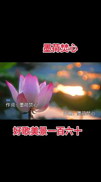 #听歌赏莲 #只看见那树摇风 #梦回杨柳岸 #好歌 #好歌推荐百听不厌 好歌美景