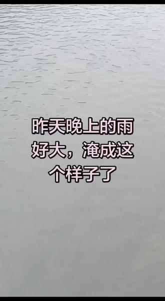 荆州到处淹这么多我们第一次见,关健下的又大又久,昨天晚上下最大的应该是八个小时没停,今天晚上又在下,千万不要在下大雨了,地下车库里的车子,庄家好多都淹了,条条大道都淹了,太吓大了,