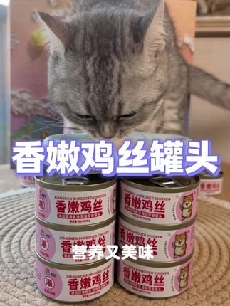 12块钱到手12罐的熊出没鸡丝罐头,这还不赶快薅#萌宠好物 #新手养宠 #猫罐头 #宠物零食