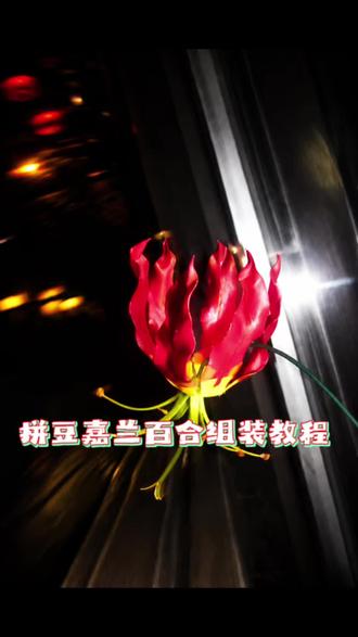 拼豆立体花嘉兰百合组装教程 #拼豆 #拼豆花束 #手工
