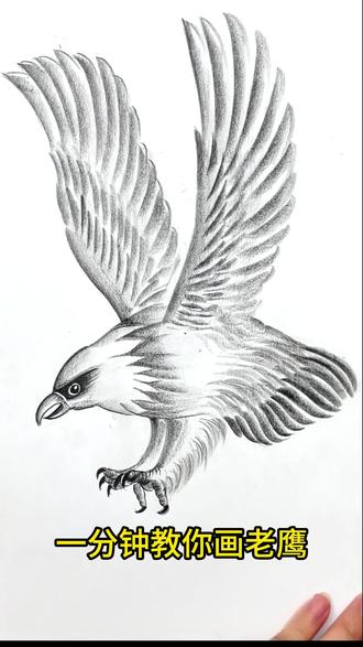 碳笔画鹰击长空#一学就会的简笔画 #零基础学画画 #学会快去试试吧🔥