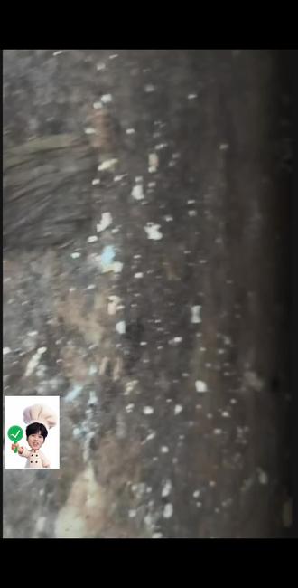 大哥救助小狗崽 原声清晰版😭 又用上这个文案了,世界破破烂烂,总有小狗修修补补
视频来源:@en #狗狗 #en #善良 #救助流浪狗 #en王翊恩