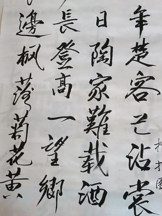 #字娱字乐 #业余爱好 #乐在其中 #修身养性