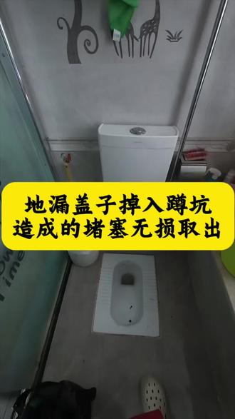 地漏盖子掉入厕所蹲坑造成的堵塞无损取出#管道疏通#疏通下水道