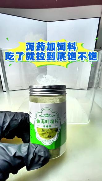 泻药加饲料吃了就拉到底饱不饱 泻药加饲料吃了就拉到底饱不饱#清道夫 #清道夫鱼 #外来入侵物种 #清道夫奇葩试验 #奇葩实验