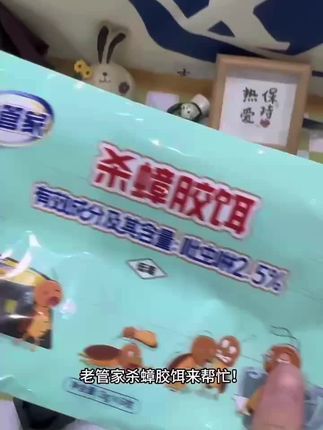 #杀蟑胶饵