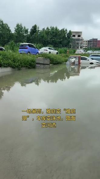 #淹水 #下暴雨 #暴雨过后⛈ 郁林路雅庭小区,逢雨必涝,积水难排,年年泡水,何时是头,排水顽疾何时能根治?