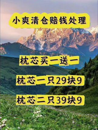【买一送一】星级酒店枕芯柔软成人高回弹绗缝学生单人家用通用枕头#家庭 #宝妈 #好物推荐🔥 #家纺床上用品 #家庭日常