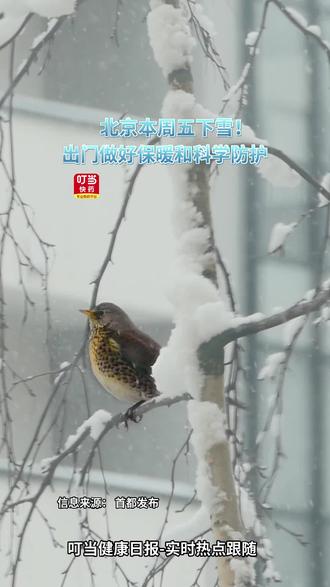 北京本周五下雪!玩耍的同时做好科学防护!#叮当健康日报 #北京下雪 #药店日常 #科学防护