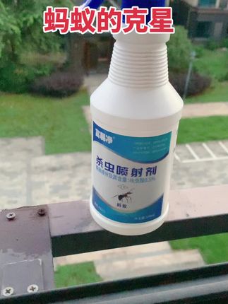 #生活碎片 #蚂蚁的克星#灭蚂蚁神器 #实用小妙招 #
