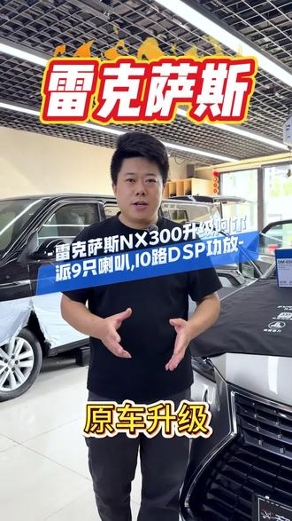 雷克萨斯NX300,升级日本🇯🇵阿尔派9只喇叭,10路DSP功放#汽车改装知识 #汽车音响升级 #汽车知识