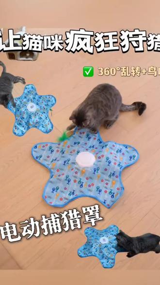快给心爱的猫咪玩捕猎罩,在家也不无聊了#生活服务热点中心 #好物推荐🔥 #猫咪 #猫咪玩具 #捕猎罩 @DOU+小助手 @DOU+上热门 @创作者流量扶持