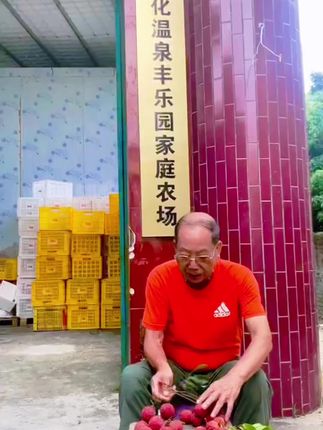 #无核荔枝 #我的乡村生活 #新鲜采摘 #荔枝#仙进奉荔枝 无核荔枝,仙进奉正式上市啦