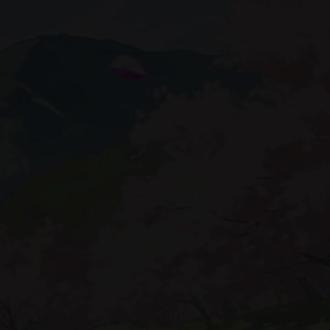 #原作者是@Romiun #狐妖小红娘竹业篇 #东方淮竹