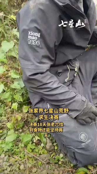 荒野求生决赛,20天会选择退赛?坚持就是胜利!💪🌿 #大自然的馈赠