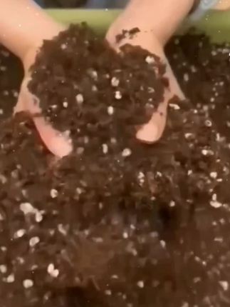营养土优质种菜通用型有机土绿植盆栽种植土壤 #家庭种植 #阳台种植 #在家种菜 #营养土 #爱生活爱养花