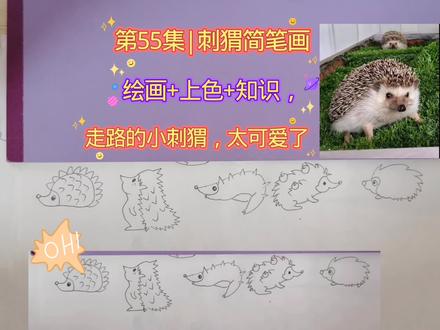 第55集|小刺猬简笔画,看这一排小刺猬,萌翻啦 #温馨画面 #真实生活分享计划#有趣的知识又增长了 #简笔画#小动物们能有多治愈 #亲子 #绘画