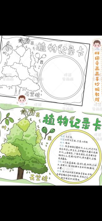 天竺桂主题植物记录卡来啦
这个绿化带常常出现的树
你们认识吗
一起来画起来吧
🉑打印线稿→直接涂色→轻松拿捏手抄报
感谢喜欢 持续更新
#手抄报 #画画#天竺桂#植物记录卡#科学@抖音小助手
