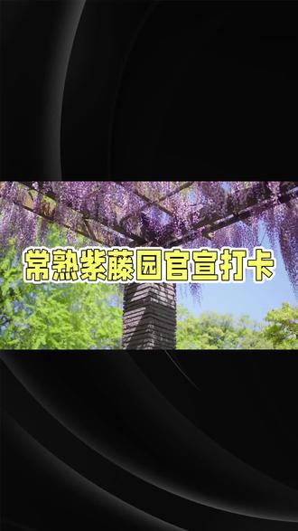 #常熟紫藤园 7折开园,35元赏花盛宴#春季赏花好去处 #赏熟旅游攻略#抖音二创激励计划 #抖音优惠团购