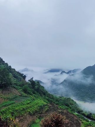 何处不风景,随处是心情,#爬山时别忘了回头看看