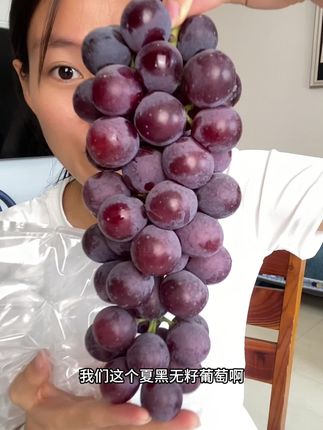 夏黑无籽葡萄 绝了!我真的是第一次吃到这么好吃的葡萄,还是无籽的!每一颗都像黑珍珠一样,花青素满满,超级脆甜可口!#夏黑葡萄 #葡萄熟了 #被一串葡萄美到了#应季水果 #快来一起尝个鲜
