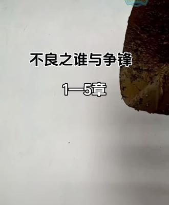 《不良之谁与争峰》1—5章