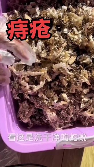 蛇蜕6g,冰片1g,适当香油。#民间小调