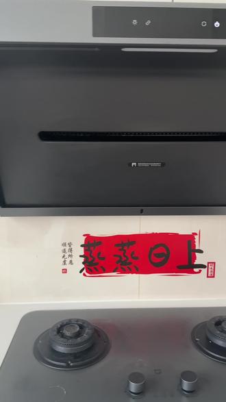 一月一清洁,深度清洁油烟机操作方法,有了这个油污净,污渍轻松搞定#小米油烟机p1 #清洁 #清洁好物 #清洁小妙招