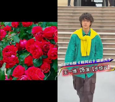 和 @明星赏颜 一起 #合拍