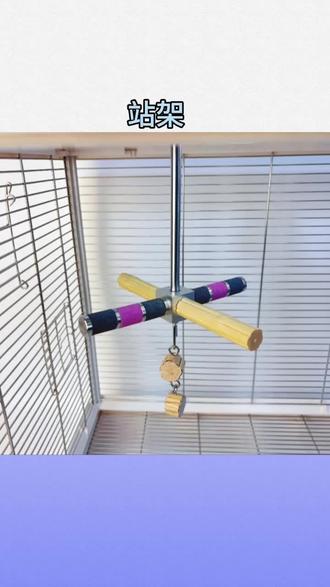 鹦鹉旋转风车站架自嗨宠物玩具六道木不锈钢解闷磨脚站杆装饰用品#宠物 #新奇特玩具 #站架#装饰#风车