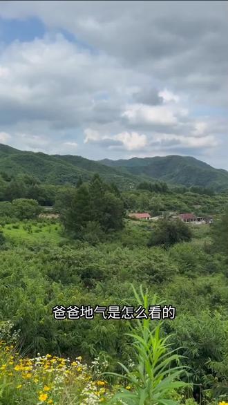 地气怎么看#易本书#记录生活 #知识分享